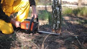 Best Lawn Mowing  in Stockton, MO